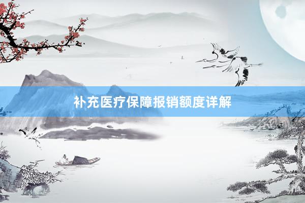 补充医疗保障报销额度详解