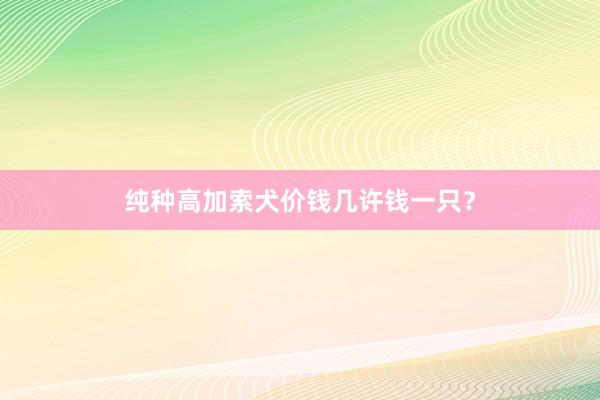 纯种高加索犬价钱几许钱一只？
