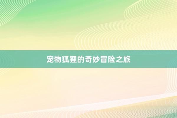 宠物狐狸的奇妙冒险之旅