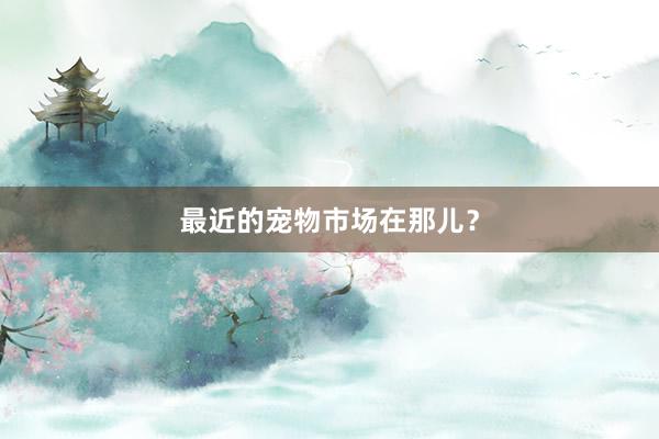 最近的宠物市场在那儿？