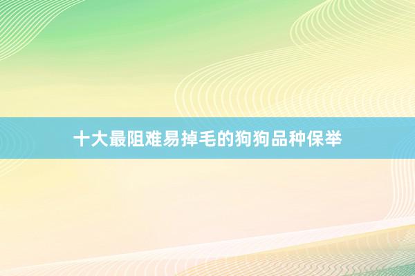 十大最阻难易掉毛的狗狗品种保举