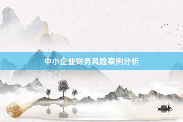 中小企业财务风险案例分析